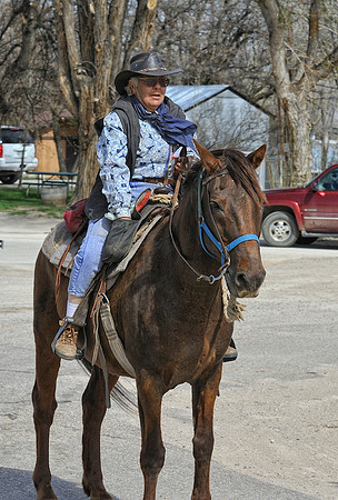 The Great American Horse Drive
