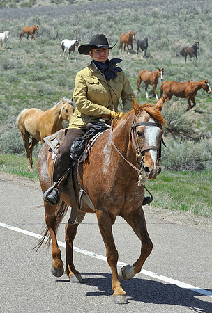 The Great American Horse Drive
