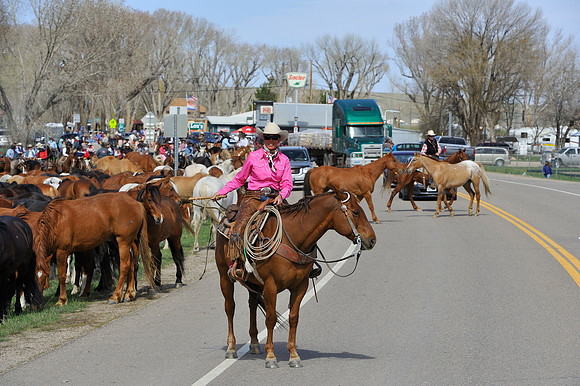 The Great American Horse Drive