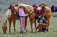 The Great American Horse Drive