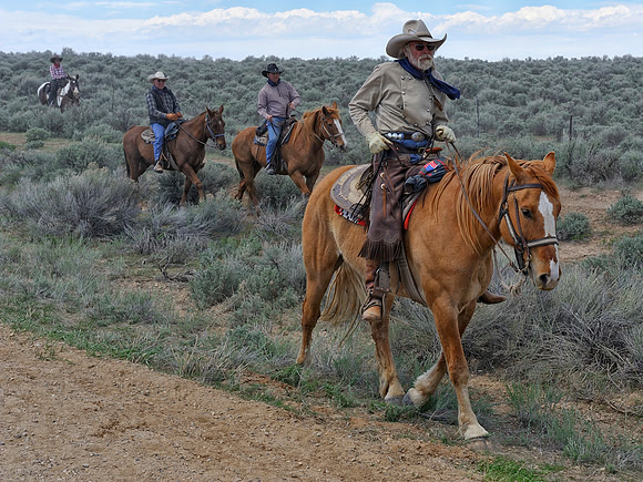 The Great American Horse Drive