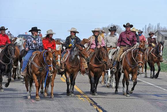 The Great American Horse Drive