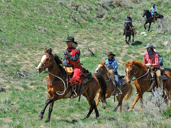 The Great American Horse Drive