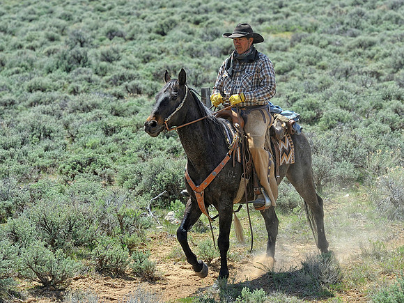 The Great American Horse Drive