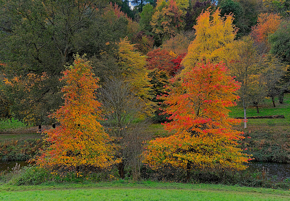 20211101 Winkworth Arboretum.0142 1