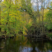 20211101 Winkworth Arboretum.0137 1