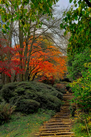 20211101 Winkworth Arboretum.0064 1