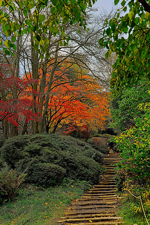 20211101 Winkworth Arboretum.0064 1
