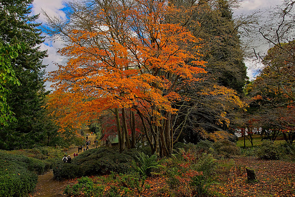 20211101 Winkworth Arboretum.0068