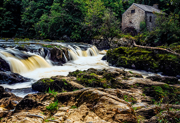 Cenarth Falls,