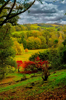 20211101 Winkworth Arboretum.0002 1