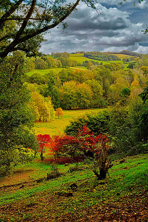 20211101 Winkworth Arboretum.0002 1