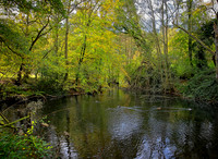 20211101 Winkworth Arboretum.0138