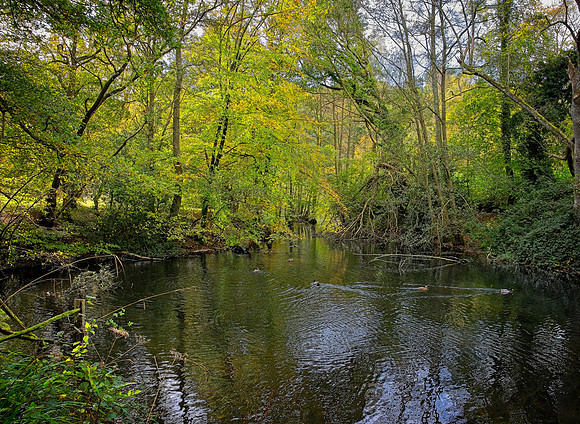20211101 Winkworth Arboretum.0138