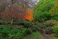 20211101 Winkworth Arboretum.0103 1