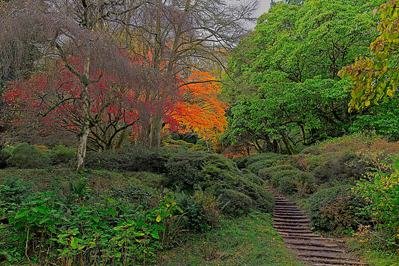 20211101 Winkworth Arboretum.0103 1