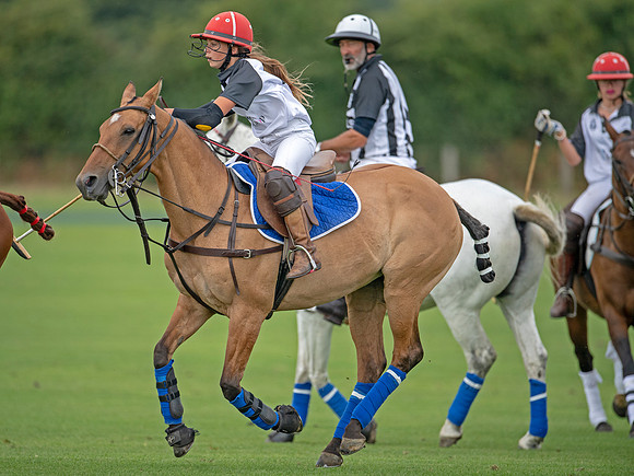 HPA.Hipwood.9.8.18.2532
