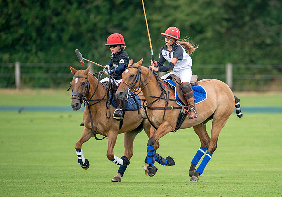 HPA.Hipwood.9.8.18.2571