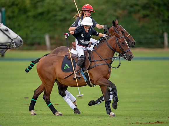 HPA.Hipwood.9.8.18.2552