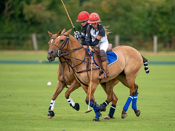 HPA.Hipwood.9.8.18.2580