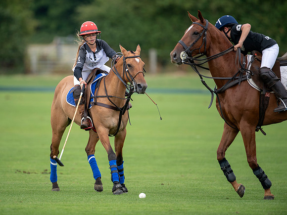 HPA.Hipwood.9.8.18.2527