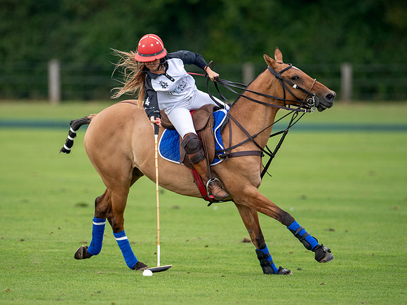 HPA.Hipwood.9.8.18.2434