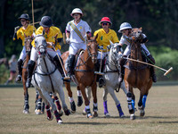 2018 Women's Festival Matches