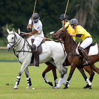 Kuseyo Cup-Sat.0310