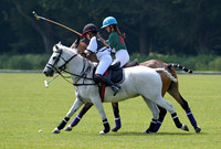 2018 New Forest Polo Club Events