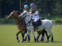 Pony Club.1405