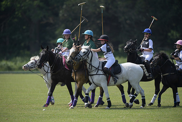 Pony Club.1398