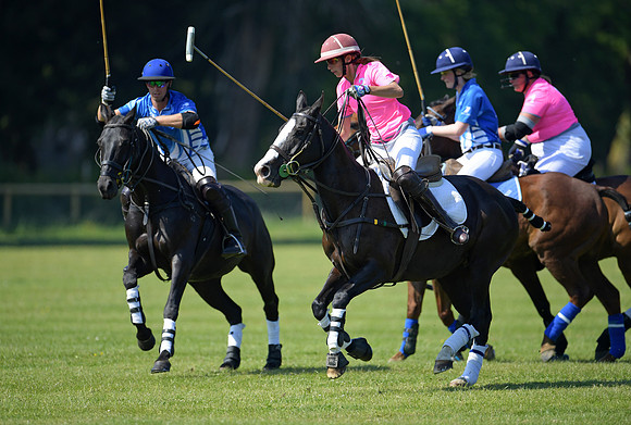 NFPC Chairmans Cup.19.5.18567
