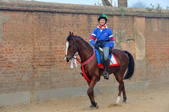 81 Km Endurance Event Stables
