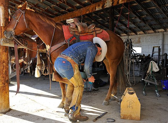 horse-ranch-sombrero-127