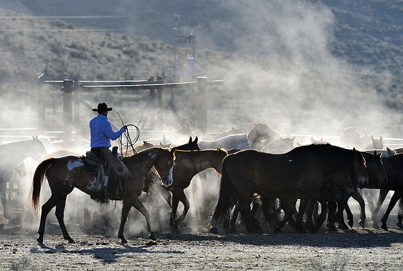 horse-ranch-sombrero-007