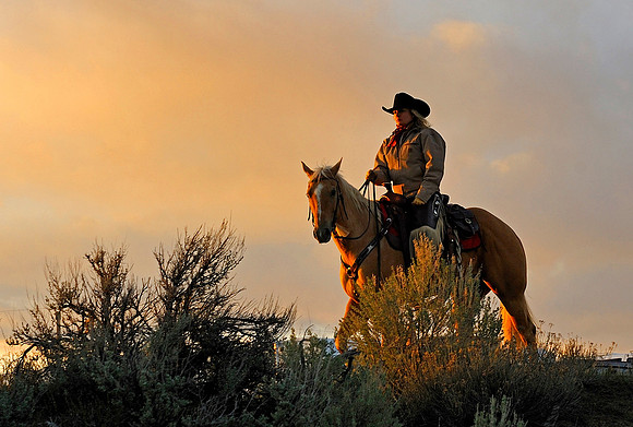 horse-ranch-sombrero-074