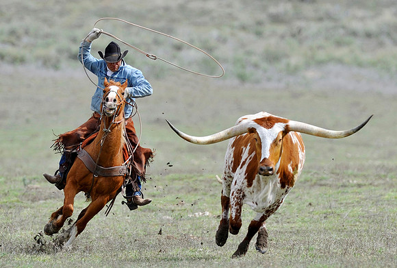 horse-ranch-sombrero-098