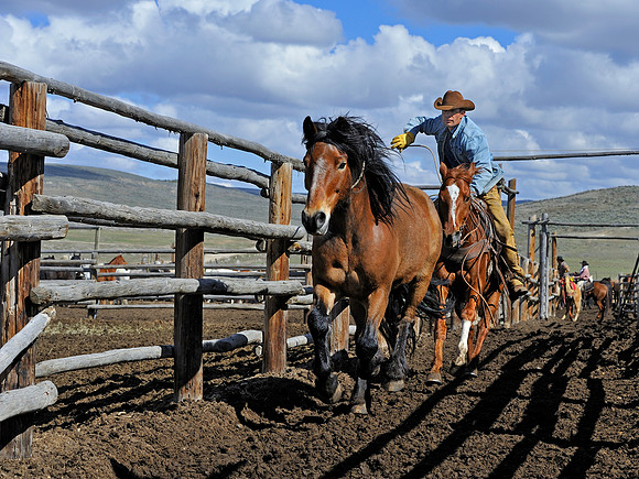 horse-ranch-sombrero-036
