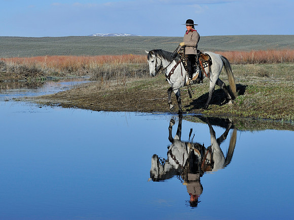 horse-ranch-sombrero-010