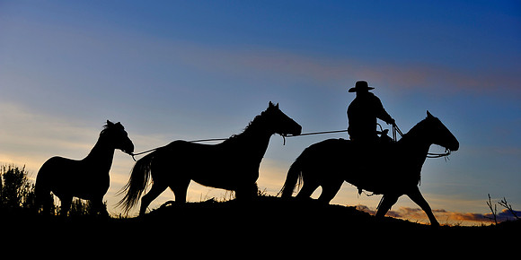horse-ranch-sombrero-075