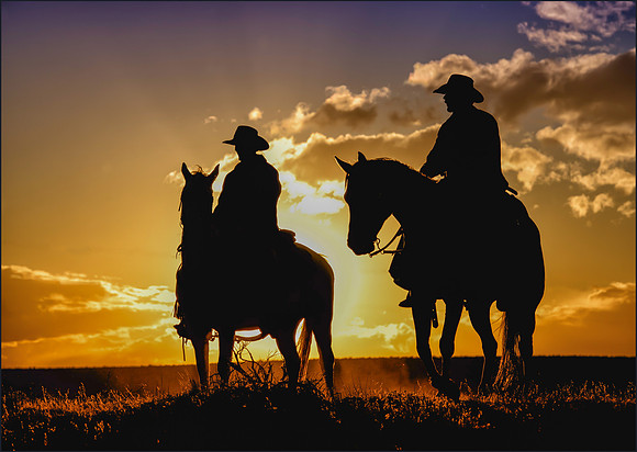 The Sundowners
