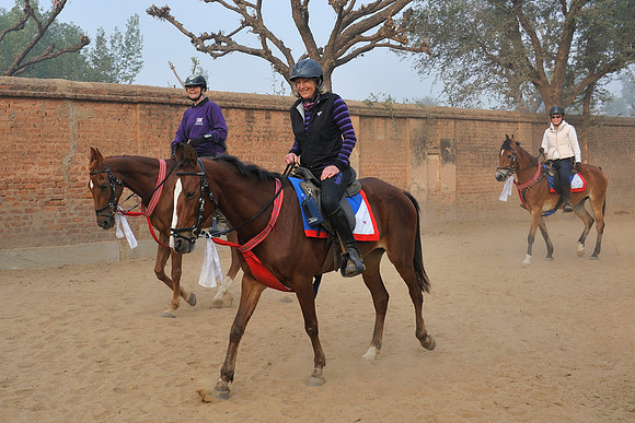 81 Km Endurance Event Stables