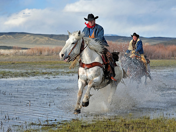 horse-ranch-sombrero-066