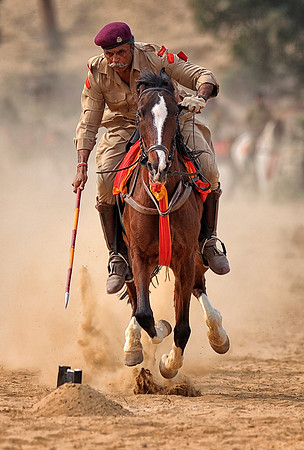 HorseDundlod.091213.4700_1
