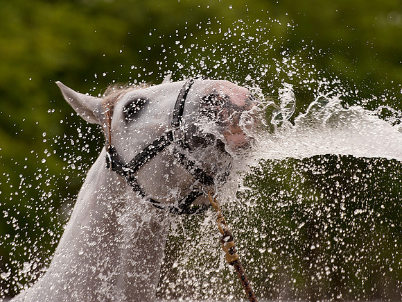 Lucitano_water_031812_011.24 x 20