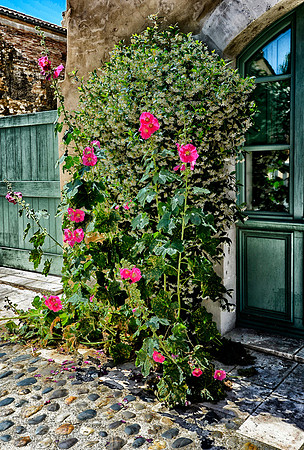 Garden display in the main square