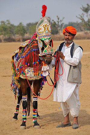 HorseDundlod.091213.4260