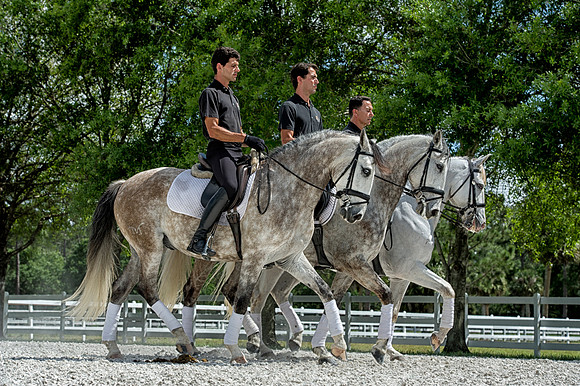 Lucitano_show_031812_076