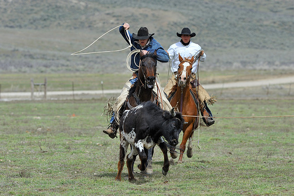 horse-ranch-sombrero-108