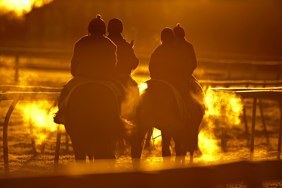 newmarket-0660